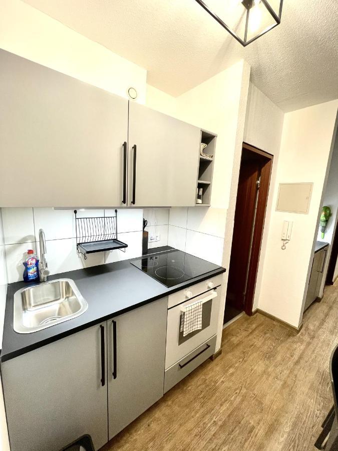 Boutique Apartment Am Bahnhof Freiburg im Breisgau Exteriör bild